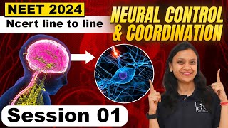 Neural control and coordination  1  Neuron  NCERT line by line  Poonam maam [upl. by Tallia]