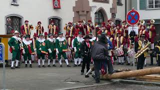 FZ der Narrenzunft Gole beim Narrenbaumstellen 2024 in Riedlingen 1 Video [upl. by Jasik224]