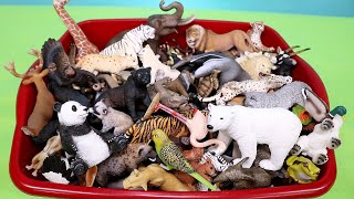 Schleich Wild Animal Figurine Collection [upl. by Stinky]