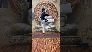 UTTHITA HASTA PADANGUSTHASANA Ashtanga Series 🌸 yogapose yoga ashtangayoga [upl. by Assisi422]