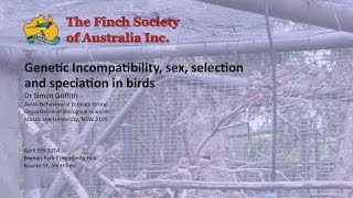 Genetic Incompatibility sex selection and speciation in birds [upl. by Stila]