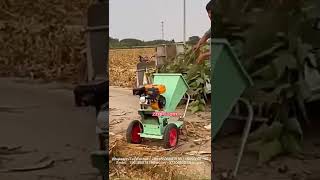 Small Branch Shredder GasolinePowered Straw Shredder Portable Branch Shredder [upl. by Atram]