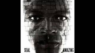 Seal  Amazing Thin White Duke remix [upl. by Irene875]