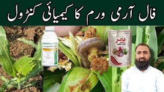 How to Control Fall Armyworm in Maize  Fall Armyworm Chemical Control  Bilal Kanju Official [upl. by Ettelocin]