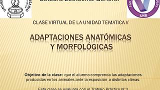 ADAPTACIONES ANATOMICAS Y MORFOLOGICAS [upl. by Euqinna]