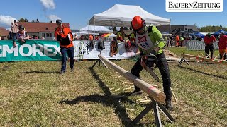 Im Aargau flogen die Späne – 25 Aargauer Holzerwettkampf [upl. by Yesoj]