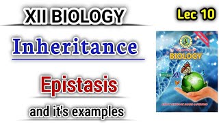 Epistasis and its examples lec 10 class 12 Inheritance [upl. by Max]