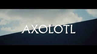 The Veils  quotAxolotlquot ft ElP Official Music Video  Pitchfork [upl. by Boffa]