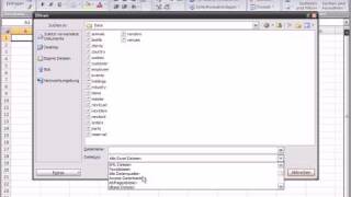 Excel2007 DBF importieren [upl. by Bowe]