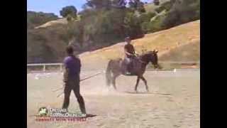 Dressage training with Alfredo Hernandez [upl. by Emawk]