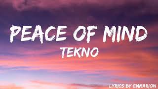 PEACE OF MIND TEKNOLYRICS [upl. by Adelpho117]