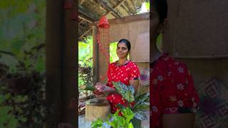 Banana blossom recipe 😋😋  පොලොස් වගේ කෙසෙල් මුව ඇඹුල 😋😋 [upl. by Nishom]