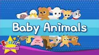 Kids vocabulary  Baby Animals  Learn English for kids  English educational video [upl. by Enelehcim]