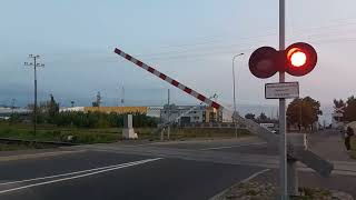 Trains at Betooni Crossing Tartu [upl. by Inger450]