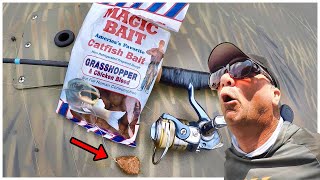 A Simple Way To Catch Catfish With Magic Bait From Walmart [upl. by Aniroz]