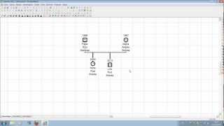 Com fer canvis en un genograma anterior [upl. by Hertha]