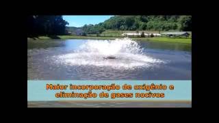 Aerador de Alto Desempenho RF Piscicultura para Peixes e Camarão [upl. by Weixel]