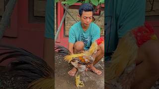 Pama choro bukan cocoa😍😍viralvideo viralshorts [upl. by Siol]