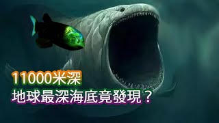 世界最深海溝 最深處竟然發現11000米的水下「馬里亞納海溝」【JoJo TV瞄芝士】 [upl. by Suivatco]