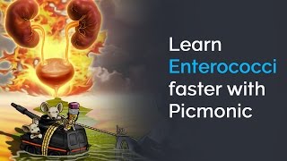 Learn Enterococci Faster with Picmonic USMLE Step 1 Step 2 CK [upl. by Agretha]