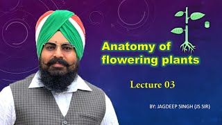 Anatomy of Flowering plants Lecture 3 [upl. by Noeht]