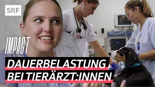 Tiermedizin unter Druck – Die hohe Suizidrate in der Veterinärmedizin  Impact  SRF [upl. by Llenyar]