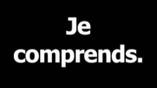 French phrase for I understand is Je comprends [upl. by Treb]