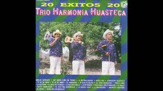 Trio Armonia Huasteca  20 Exitos Disco Completo [upl. by Miranda]