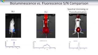 Basics Of Optical Imaging In Vivo  Part I Tissue Optics [upl. by Niki]