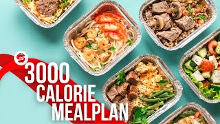 3000 Calorie Meal Plan for Weight Gain amp Muscle Building  Gain 6 kg in 2 Weeks [upl. by Yniffit]