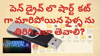 Recover hidden short cuts data form Pendrive [upl. by Eihs477]