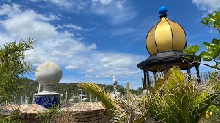 Rooftop Views Hundertwasser Art Centre🇳🇿Live from New Zealand [upl. by Nevaj]