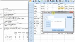 SPSS Data entry part 2 [upl. by Nalla]