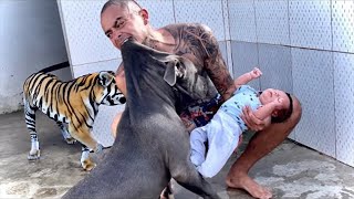 20 Parents Who Saved Their Children From Aggressive Animals [upl. by Yliak]