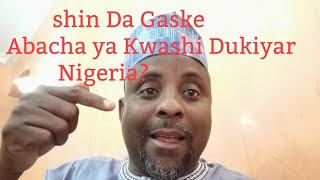 Shin Da Gaske ne Abacha Ya Kwashi Dukiyan Nigeria [upl. by Davina]