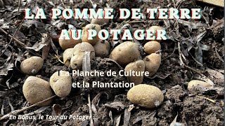 La Pomme de Terre au Potager [upl. by Valente926]