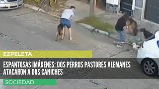 Espantosas imágenes de dos perros pastores alemanes atacando a dos caniches en Ezpeleta [upl. by Eittak]