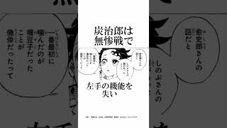 意外と知らない鬼滅の刃の作画ミスに関する面白い雑学part2二選【鬼滅の刃】雑学鬼滅の刃柱稽古編 [upl. by Anyer706]