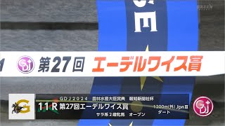 【競馬】2024年 第27回エーデルワイス賞JpnⅢ【ミリアッドラヴ  西村淳也】 [upl. by Chuu]