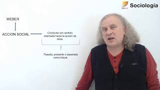 18 Sociología Matríz comprensiva M Weber [upl. by Ecinom]