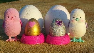 LITTLE LIVE PETS CHICKS MEETS RARE GLITTER HATCHIMALS COLLEGGTIBLES EGG [upl. by Anitrebla]