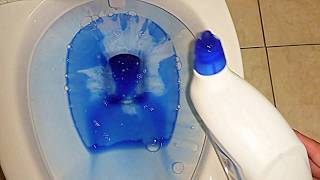 Testing Lysol® Toilet Bowl Cleaner [upl. by Goldarina]