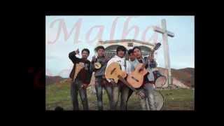 CARNAVAL Te llevare mi cholita  proyecto musical MALBA [upl. by Soneson139]