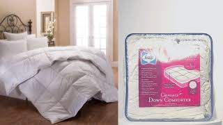 Sealy® Made in USA Sealy® Chagall Down Comforter  Kołdra puchowa [upl. by Worthy39]