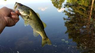 Summertime Fishing with the H20 Express Topwater Popper [upl. by Spooner261]