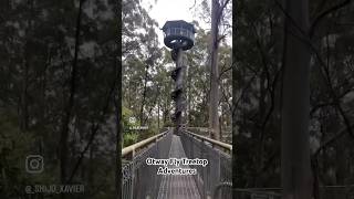 Otway Fly Treetop Adventures [upl. by Inglebert567]