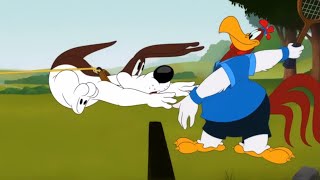 Foghorn Leghorn Tennis Dawg Looney Tunes Cartoons [upl. by Thetes]