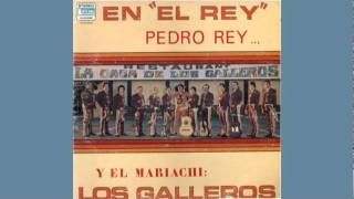 Mariachi Los Galleros de Pedro Rey De Que Te Quiero Te Queiro [upl. by Cone]