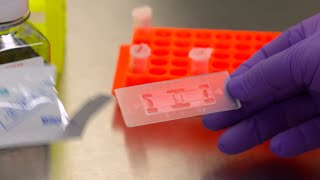 How to use a Hemocytometer for Tissue Culture Cell Counting [upl. by Rohclem]