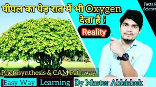 Why Some Plants realese Oxygen in night Photosynthesis in plants and CAM pathway A for Abhishek [upl. by Delorenzo]